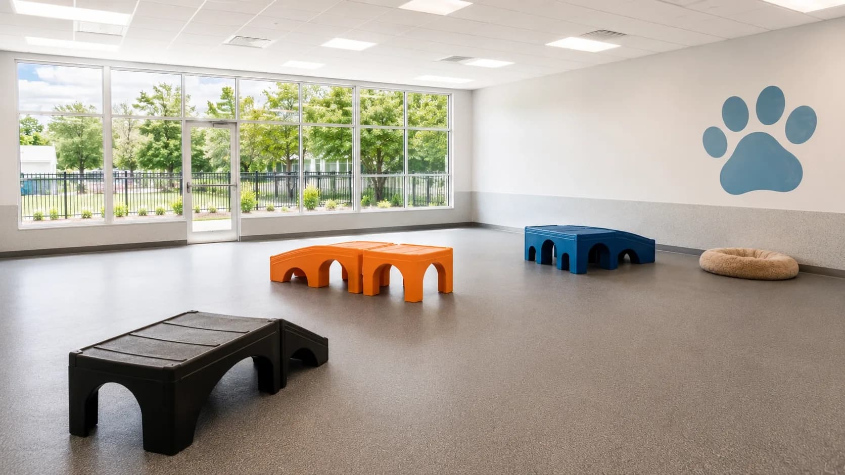 An indoor open-play dog daycare room with rubberized flooring